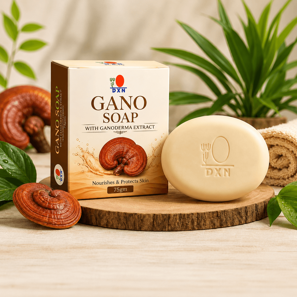 DXN Gano Soap 