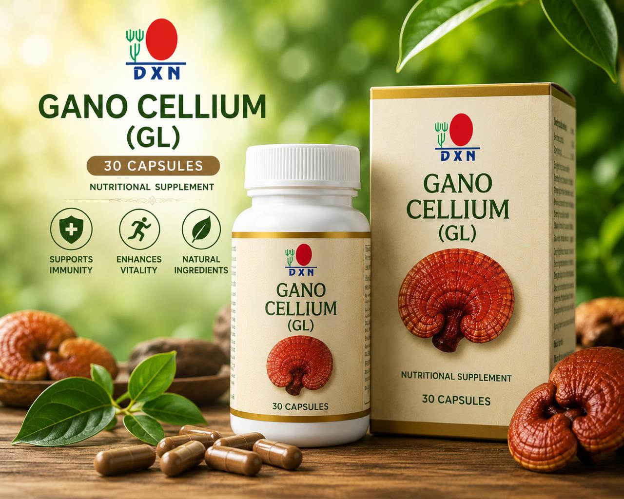 DXN Reishi Ganocilium (30) Capsules
